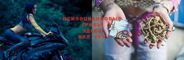 твердый Богородицк