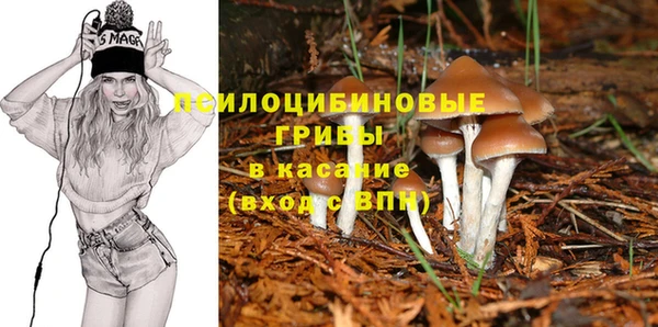 дмт Бронницы