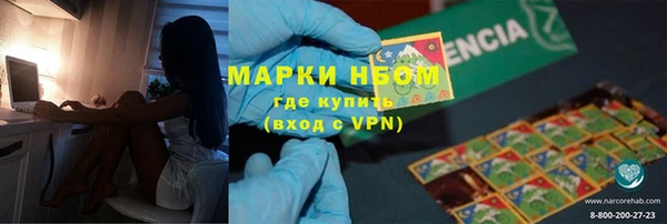 дмт Бородино