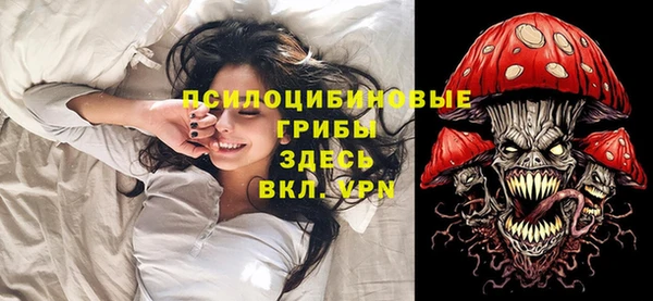прущие крисы Богданович