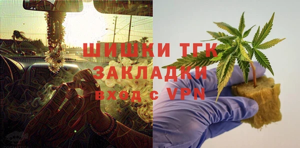 дмт Бородино