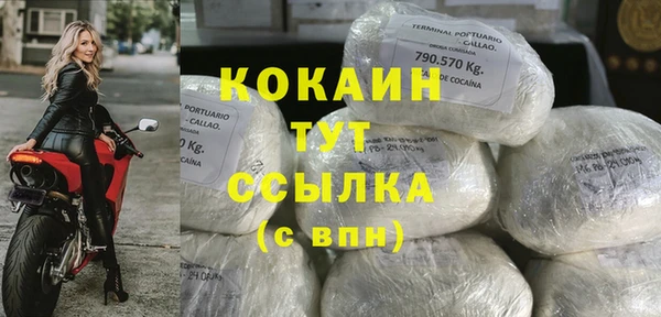 дмт Бородино