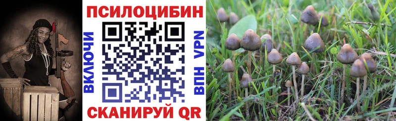 даркнет наркотические препараты  где можно купить   Владимир  Галлюциногенные грибы Magic Shrooms 